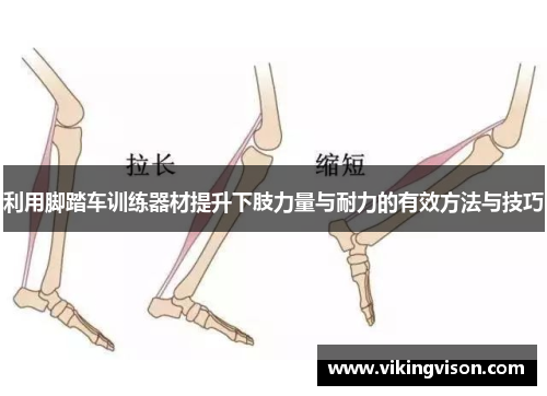 利用脚踏车训练器材提升下肢力量与耐力的有效方法与技巧