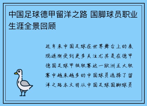中国足球德甲留洋之路 国脚球员职业生涯全景回顾