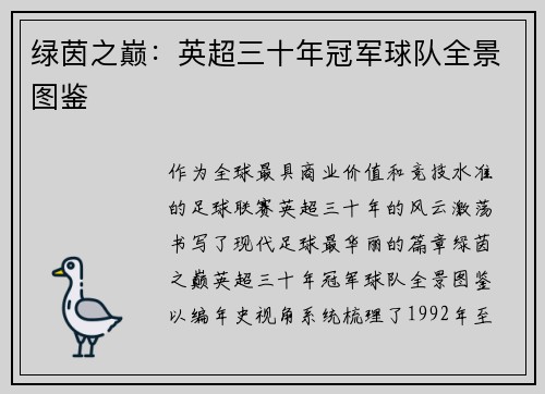 绿茵之巅：英超三十年冠军球队全景图鉴