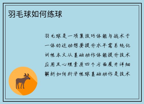 羽毛球如何练球